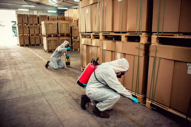 Best Wasp Removal Services  in Williston Park, NY