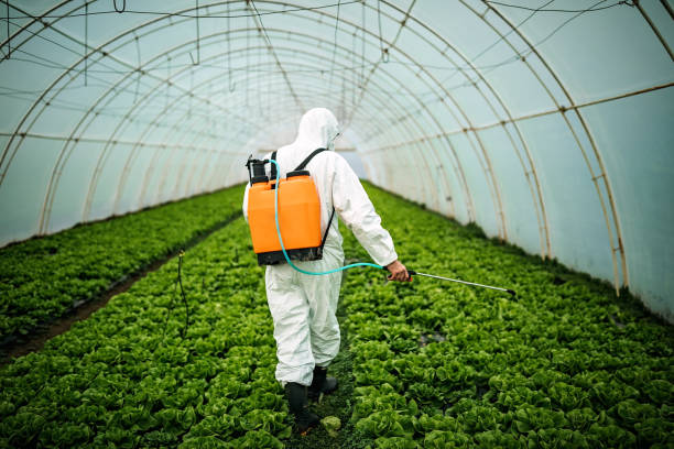 Best Pest Control Near Me  in Williston Park, NY