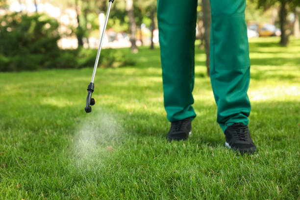 Best Residential Pest Control  in Williston Park, NY