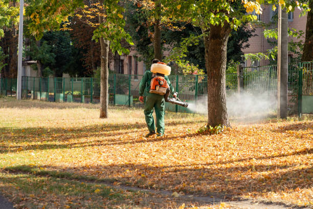 Best Mosquito Control Services  in Williston Park, NY