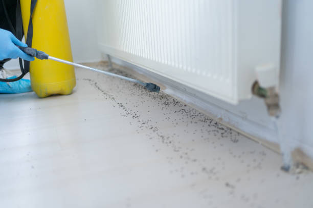 Best Pest Prevention Services  in Williston Park, NY