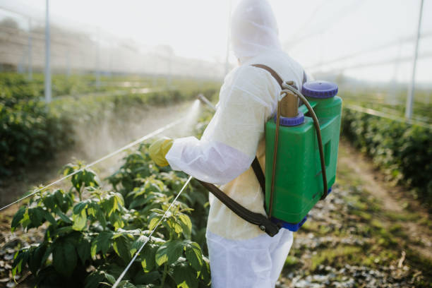 Best Commercial Pest Control Services  in Williston Park, NY